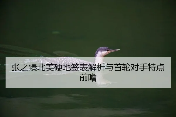 张之臻北美硬地签表解析与首轮对手特点前瞻